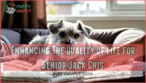 enhancing the quality of life for senior jack chis