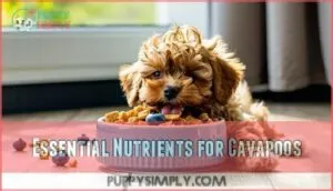 essential nutrients for cavapoos essential nutrients for cavapoos
