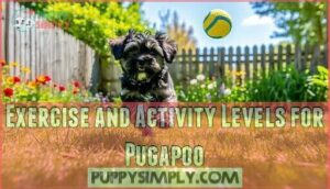 exercise and activity levels for pugapoo