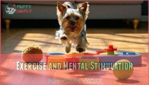 exercise and mental stimulation
