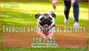 exercise and physical activity for pugs