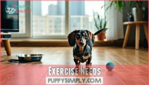 exercise needs