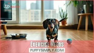 exercise needs