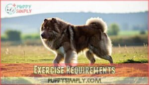 exercise requirements