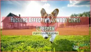 factors affecting cowboy corgi lifespan