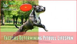 factors determining pitbull lifespan