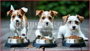feed depending on life stage
