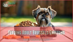 feeding adult brussels griffons