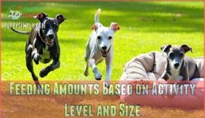 feeding amounts based on activity level and size