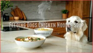 feeding dogs chicken noodle soup