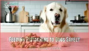feeding pistachios to dogs safely feeding pistachios to dogs safely