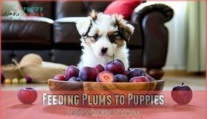 feeding plums to puppies