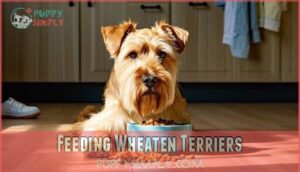 feeding wheaten terriers