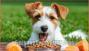 fiber and omega fatty acids