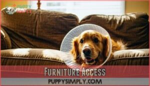 furniture access