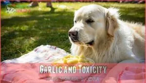 garlic and toxicity