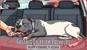 gastric dilation volvulus gastric dilation volvulus