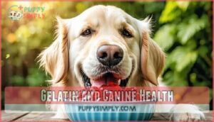 gelatin and canine health