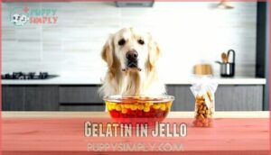 gelatin in jello