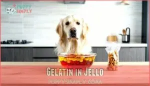 gelatin in jello