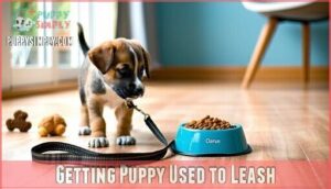 getting puppy used to leash