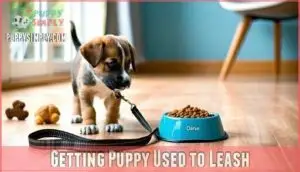 getting puppy used to leash