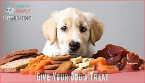 give your dog a treat