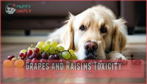 grapes and raisins toxicity