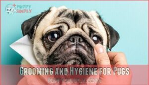 grooming and hygiene for pugs