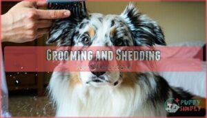 grooming and shedding