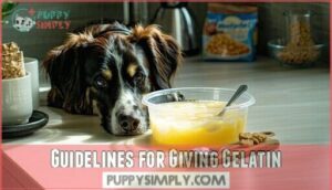 guidelines for giving gelatin
