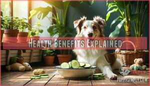 health benefits explained