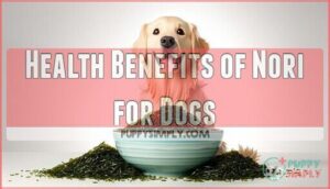 health benefits of nori for dogs