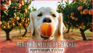health benefits of peaches