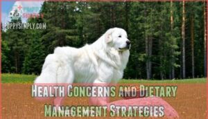 health concerns and dietary management strategies