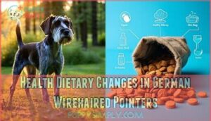 health dietary changes in german wirehaired pointers