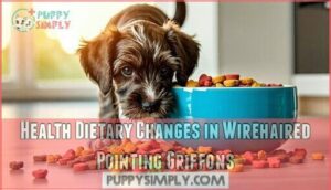 health dietary changes in wirehaired pointing griffons