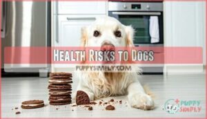 health risks to dogs