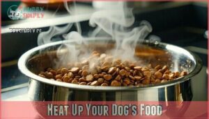 heat up your dog's food