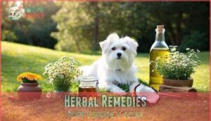 herbal remedies