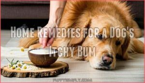 home remedies for a dog's itchy bum