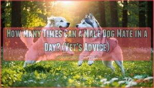 how many times can male dog mate