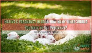 how many times should dogs mate to get pregnant