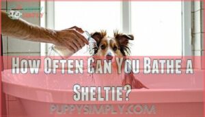 how often can you bathe a sheltie