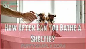 how often can you bathe a sheltie
