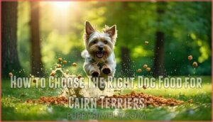 how to choose the right dog food for cairn terriers