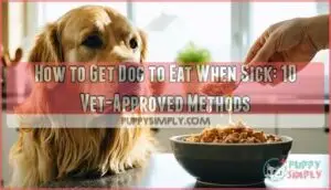 how to get dog to eat when sick