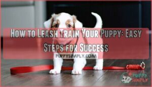 how to leash train your puppy