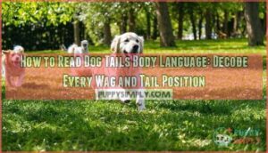 how to read dog tails body language