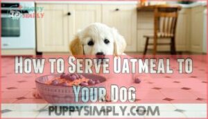 how to serve oatmeal to your dog